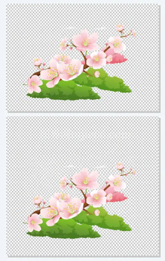 春分花朵美丽春天多彩自然