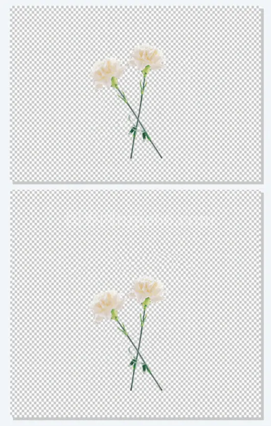 卡通鲜花手绘花朵图片 康乃馨