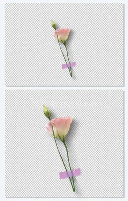 送给母亲一枝花