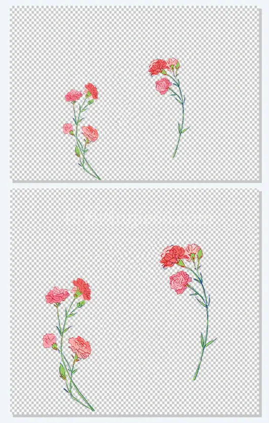 母亲节手绘插图康乃馨花卉边框