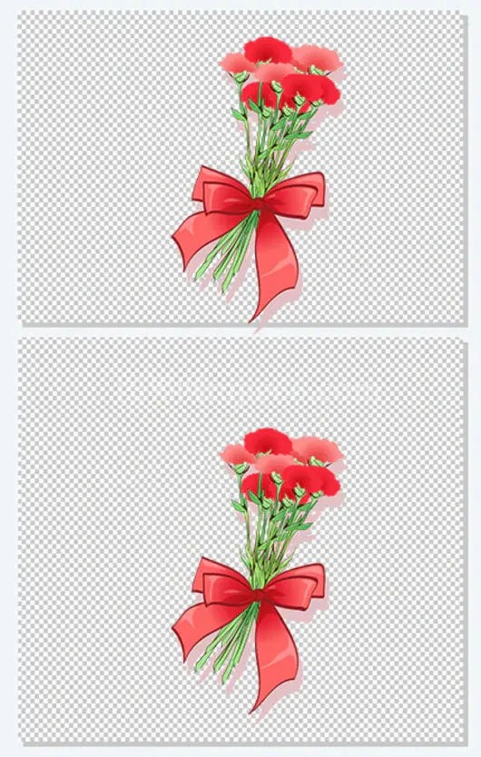 花朵康乃馨母亲节