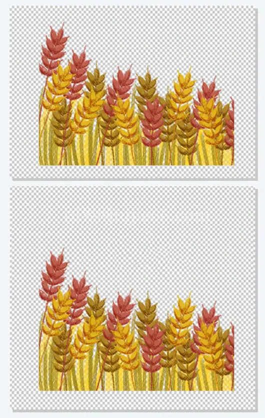 手绘插图小满节气谷物