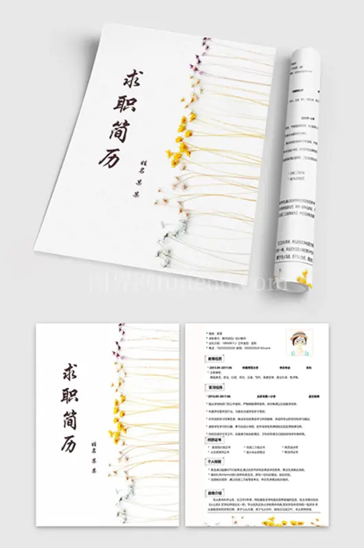 创意幼师简历模板