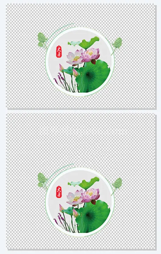 大暑主题盛开荷花插图