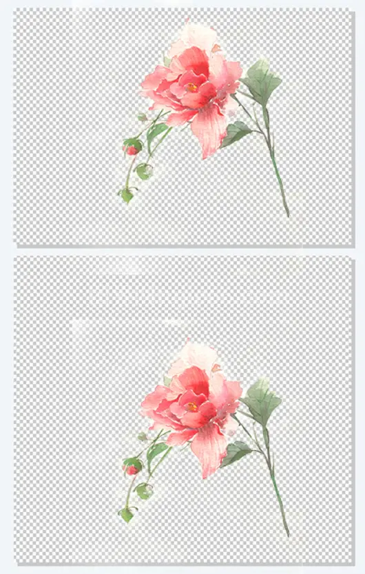古风唯美水彩插画玫瑰花