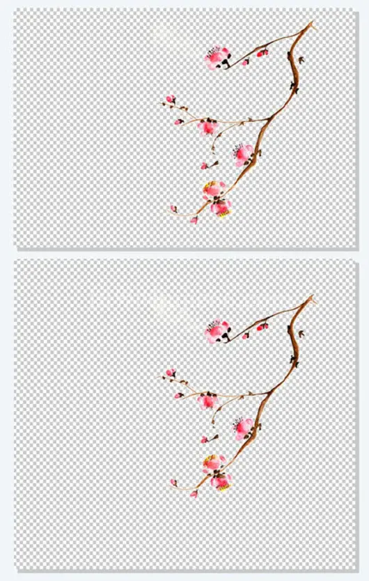 中国风,粉色花朵,枝条,树枝插画,中国风水墨画