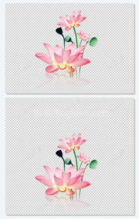 中国风手绘荷花中秋插画装饰