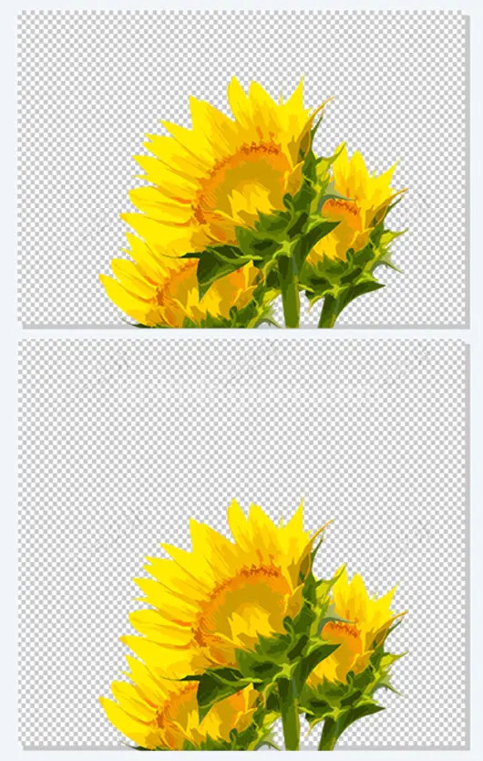  矢量素材 葵花 设计素材