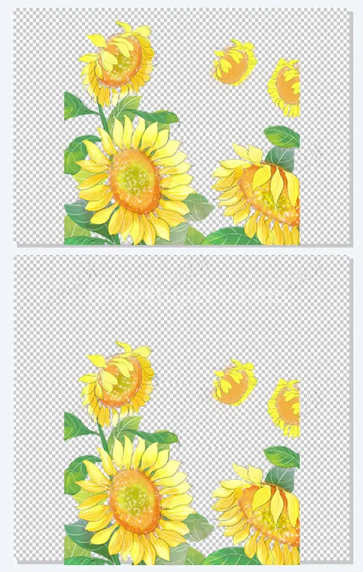 矢量素材 葵花 设计素材 矢量花朵素材 