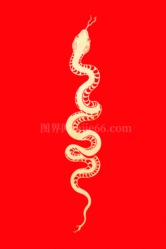 剪纸蛇插画