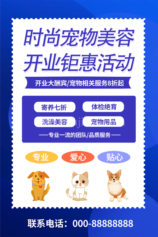 宠物用品海报10