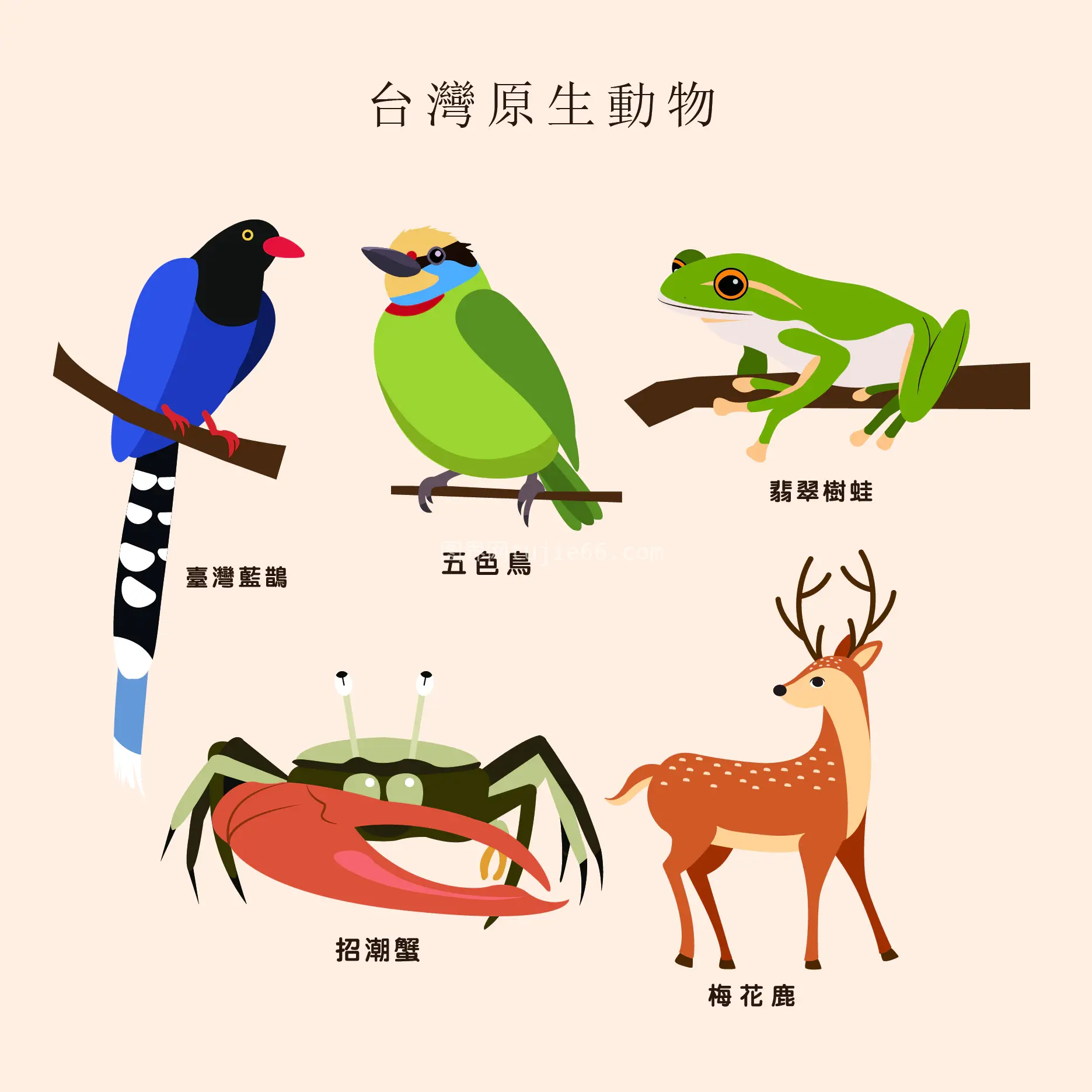 原生动物插画免抠元素图片