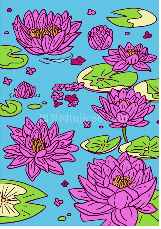 荷花荷叶插画