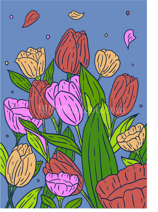 手绘郁金香插画