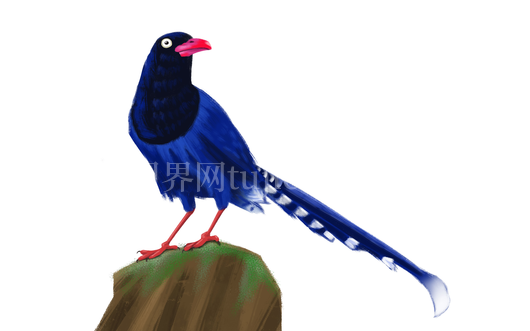 蓝鸟站绿岩