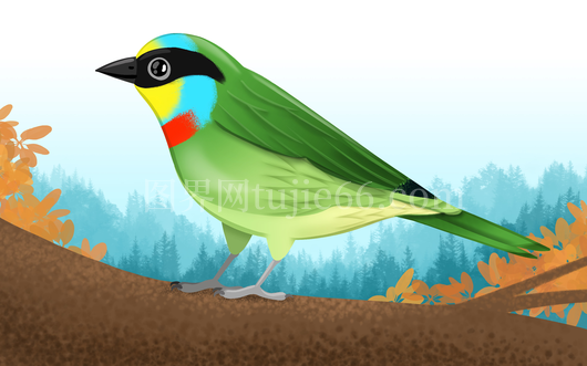 绿体蓝腹小鸟站枝插画