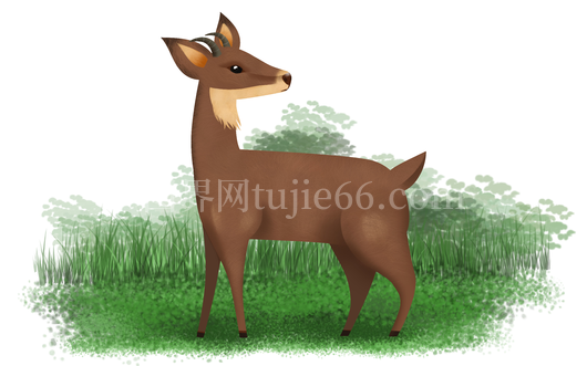 棕色小鹿站草地插画