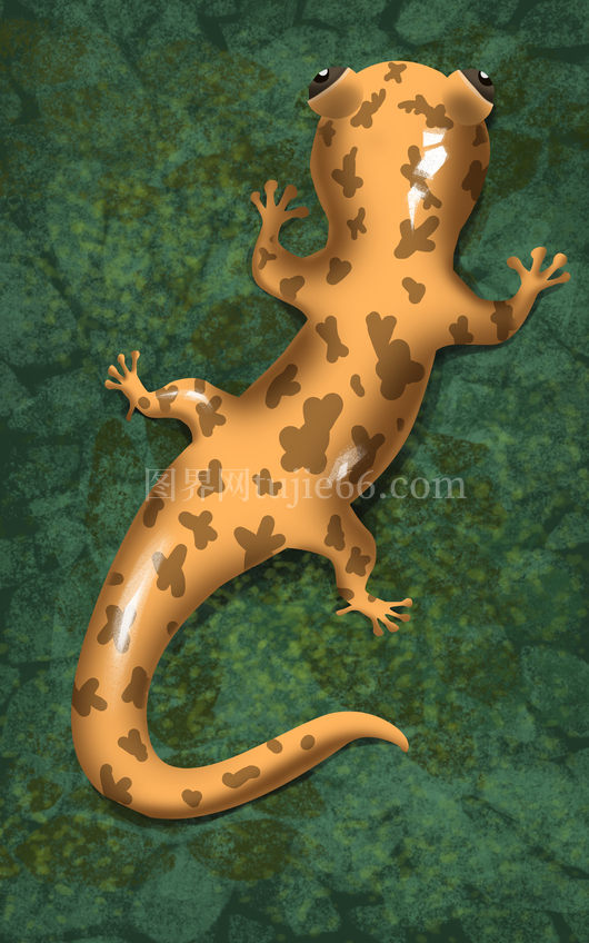 橙黑斑点壁虎趴绿植插画