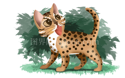 卡通豹子插画