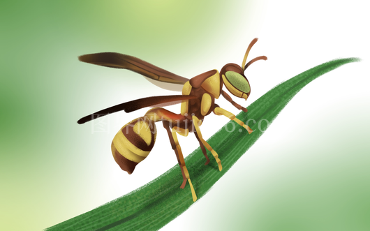 黄蜂草地休憩插画免抠元素