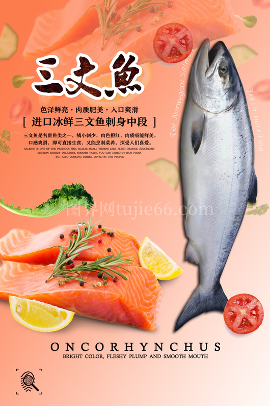 三文鱼海报设计模板