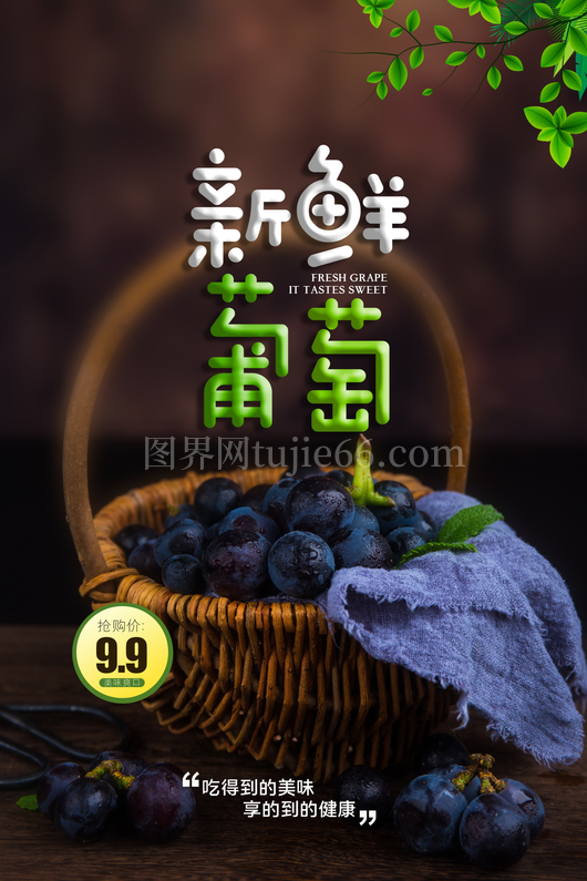 葡萄海报设计模板