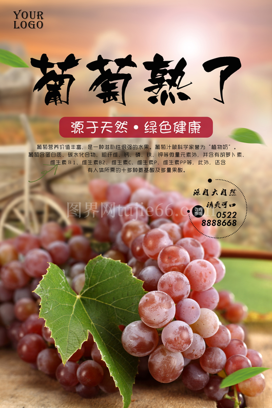 葡萄海报设计模板 
