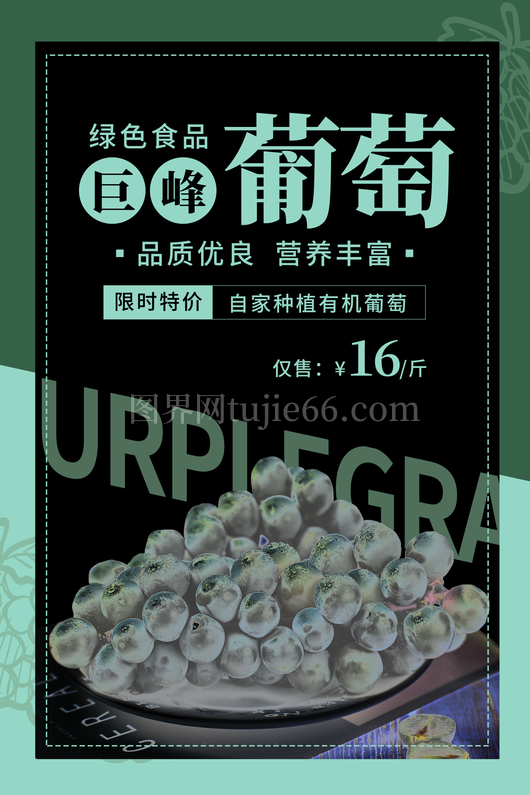 葡萄海报设计模板 
