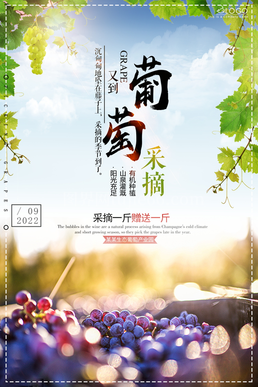 葡萄海报设计模板