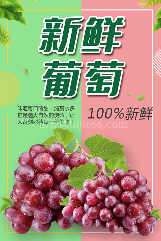 葡萄海报设计模板