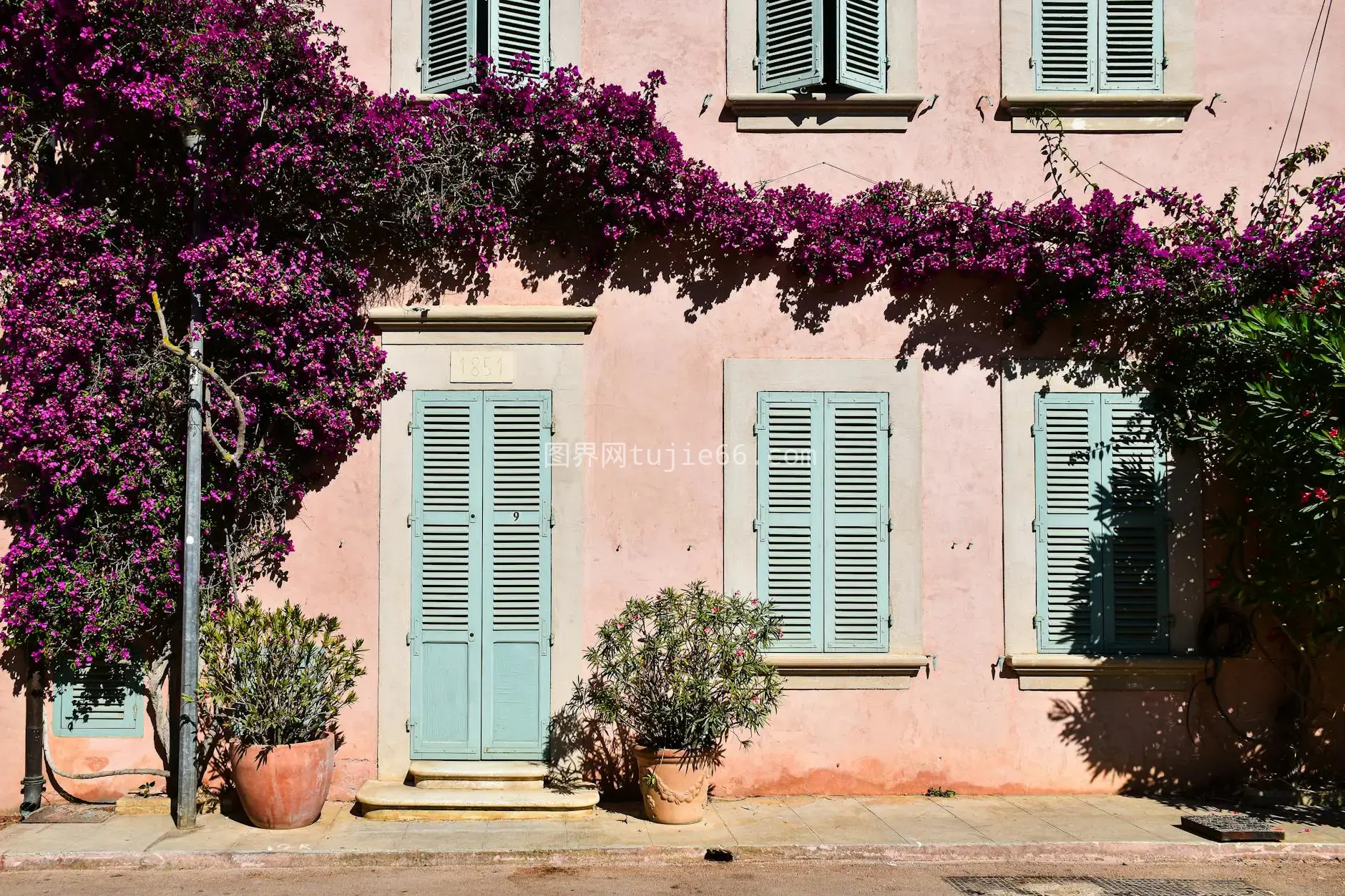 迷人的 Bormes Les Mimosas 房屋，种有九重葛图片