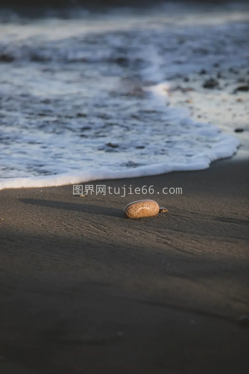 户外海滩假期免费素材图库图片