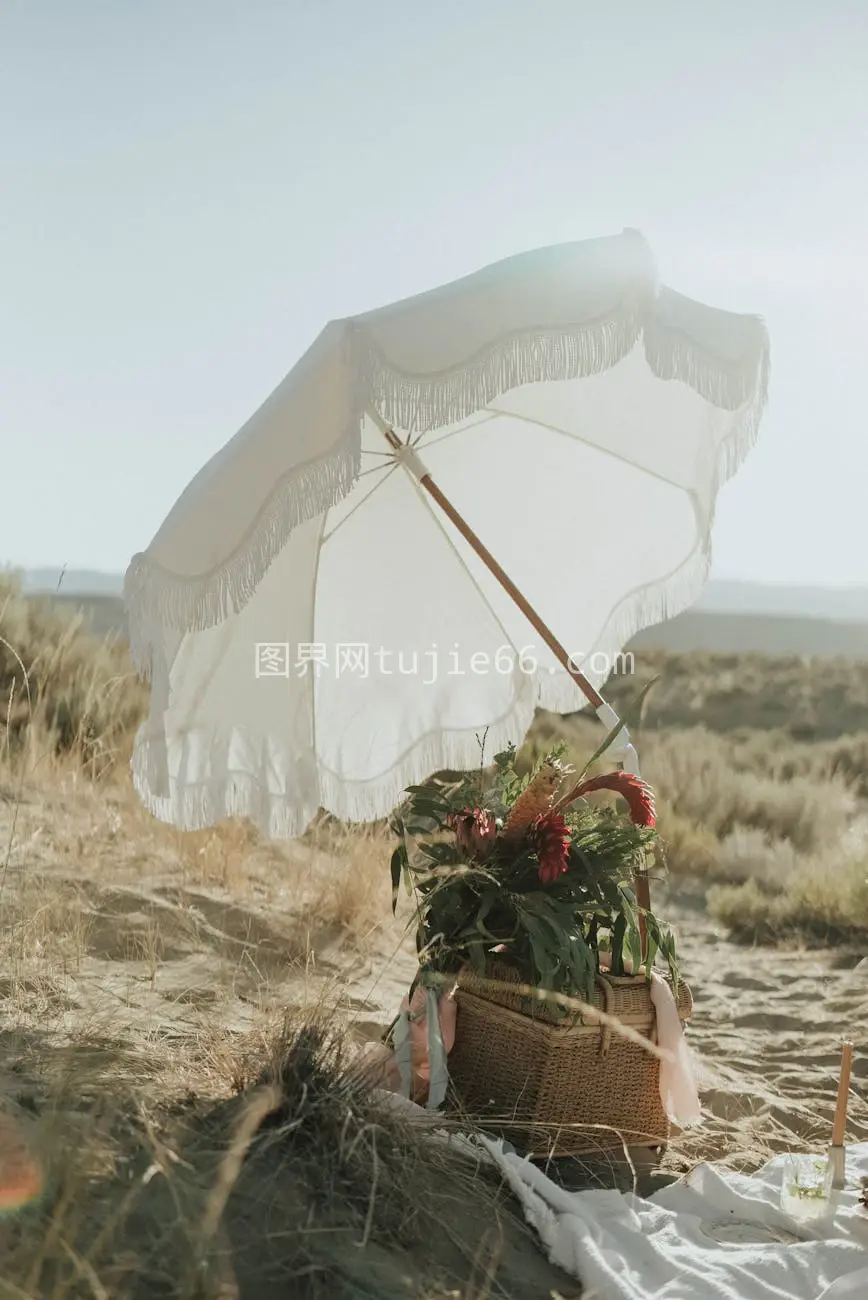 沙滩白色雨伞鲜花篮景致图片