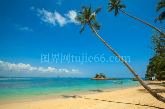 海滨椰棕蓝空
