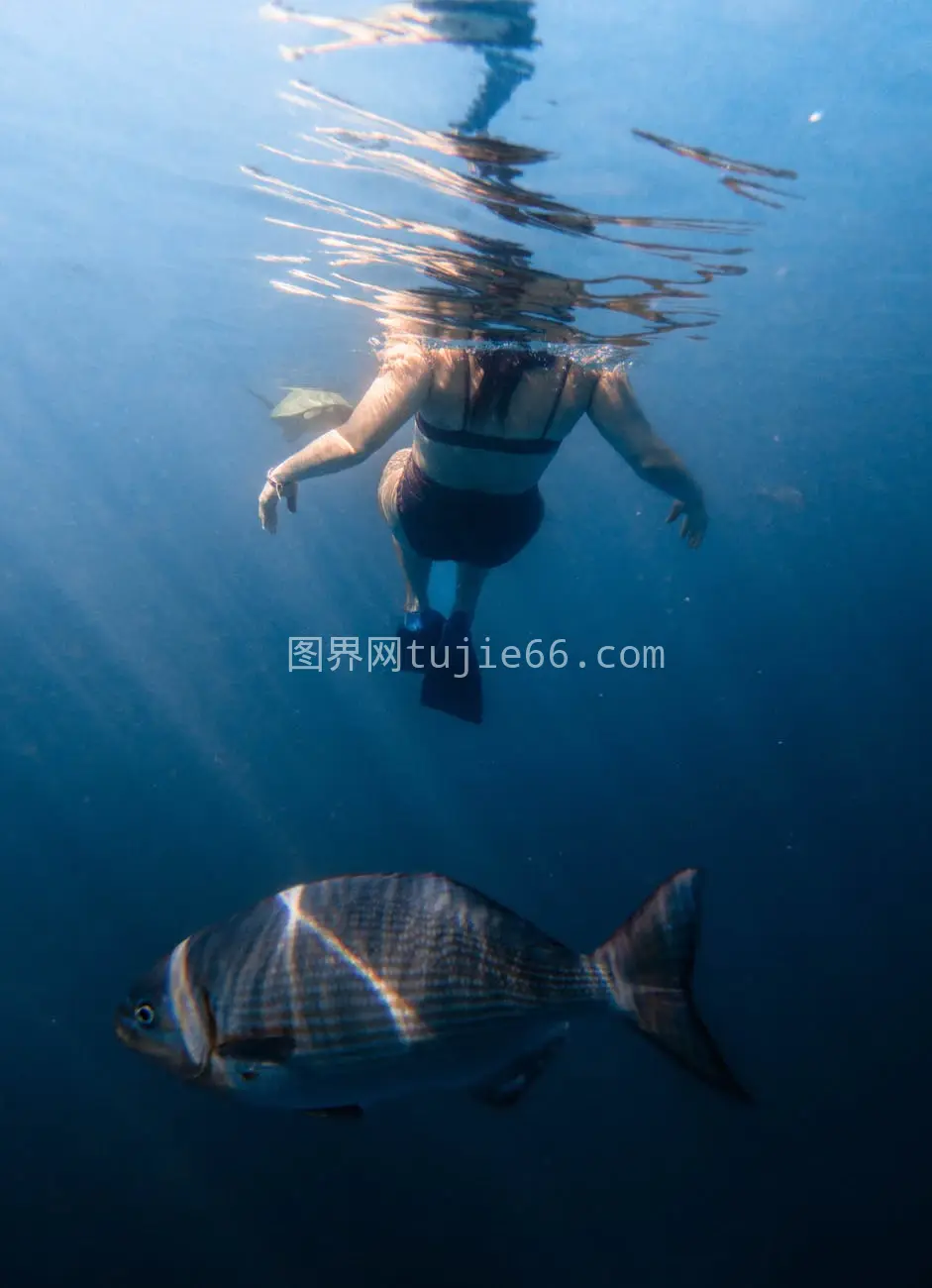 夏威夷海域浮潜探险之旅图片