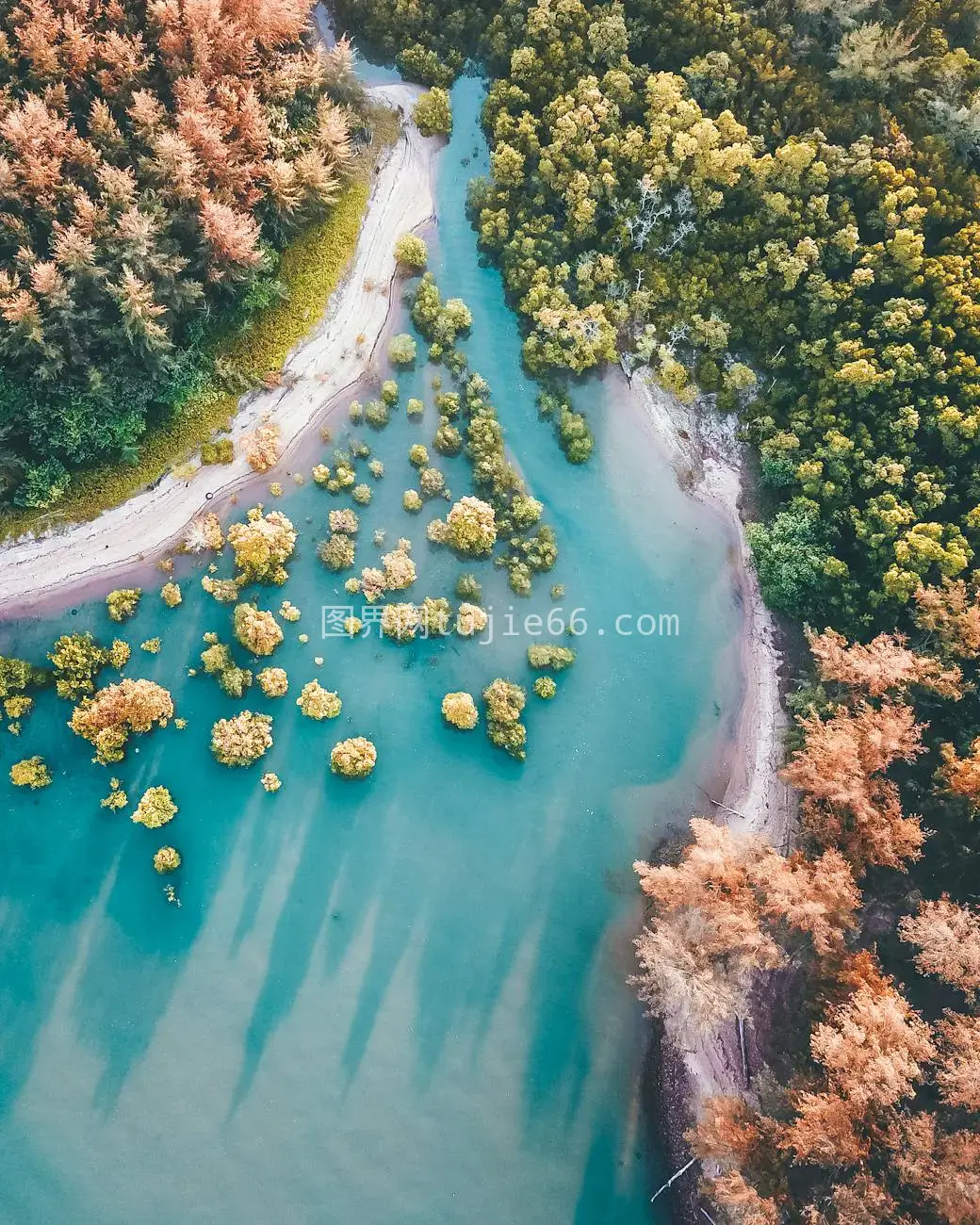 绿树河流鸟瞰图美不胜收图片