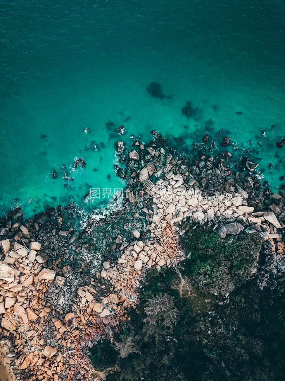 绿松石海岩石岸绿树绕图片