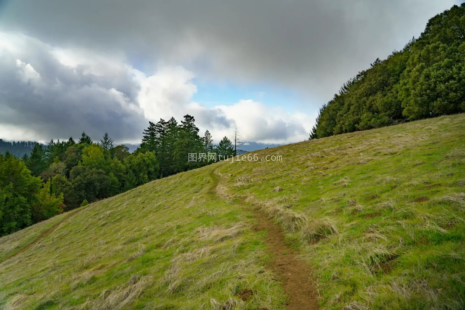 帕洛阿尔托宁静山坡小路景致图片