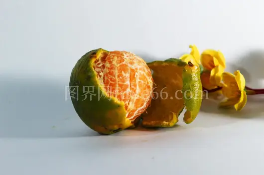 特写橙皮鲜嫩黄花映衬