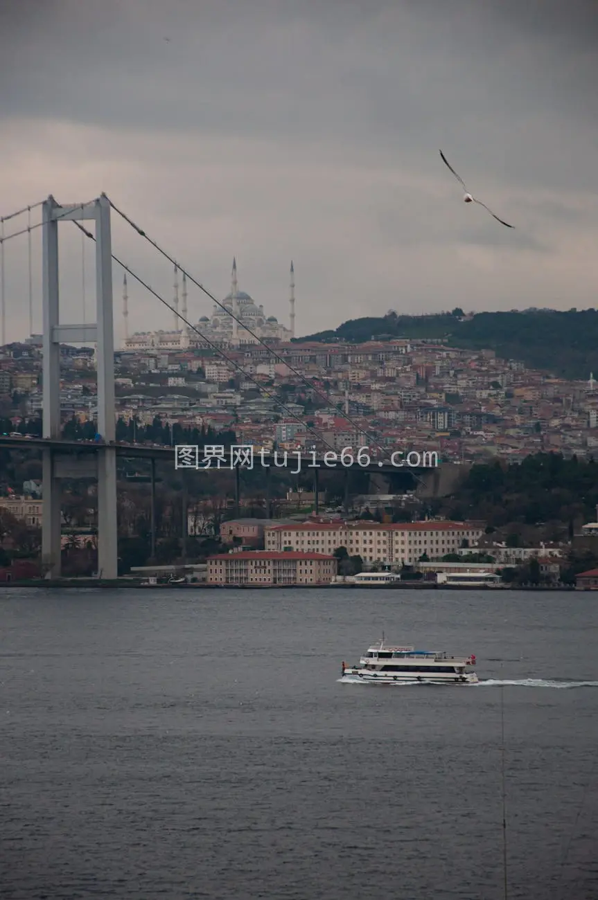 渡轮海峡赏桥景图片