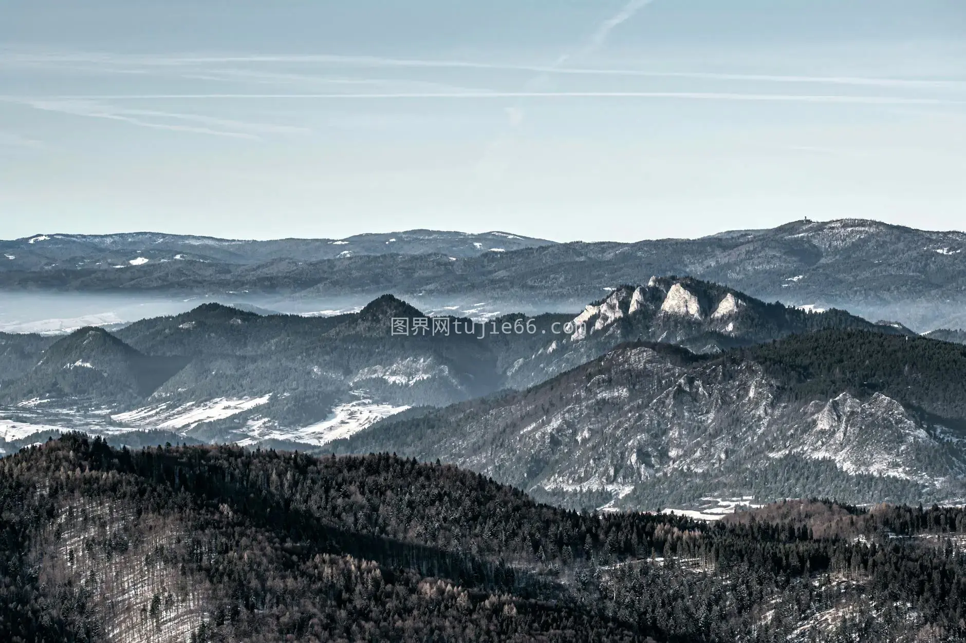 冬季雪覆山脉森林景致图片