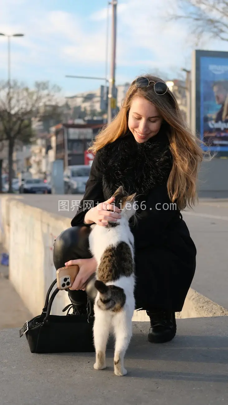 伊斯坦布尔女子与街猫共度阳光日图片