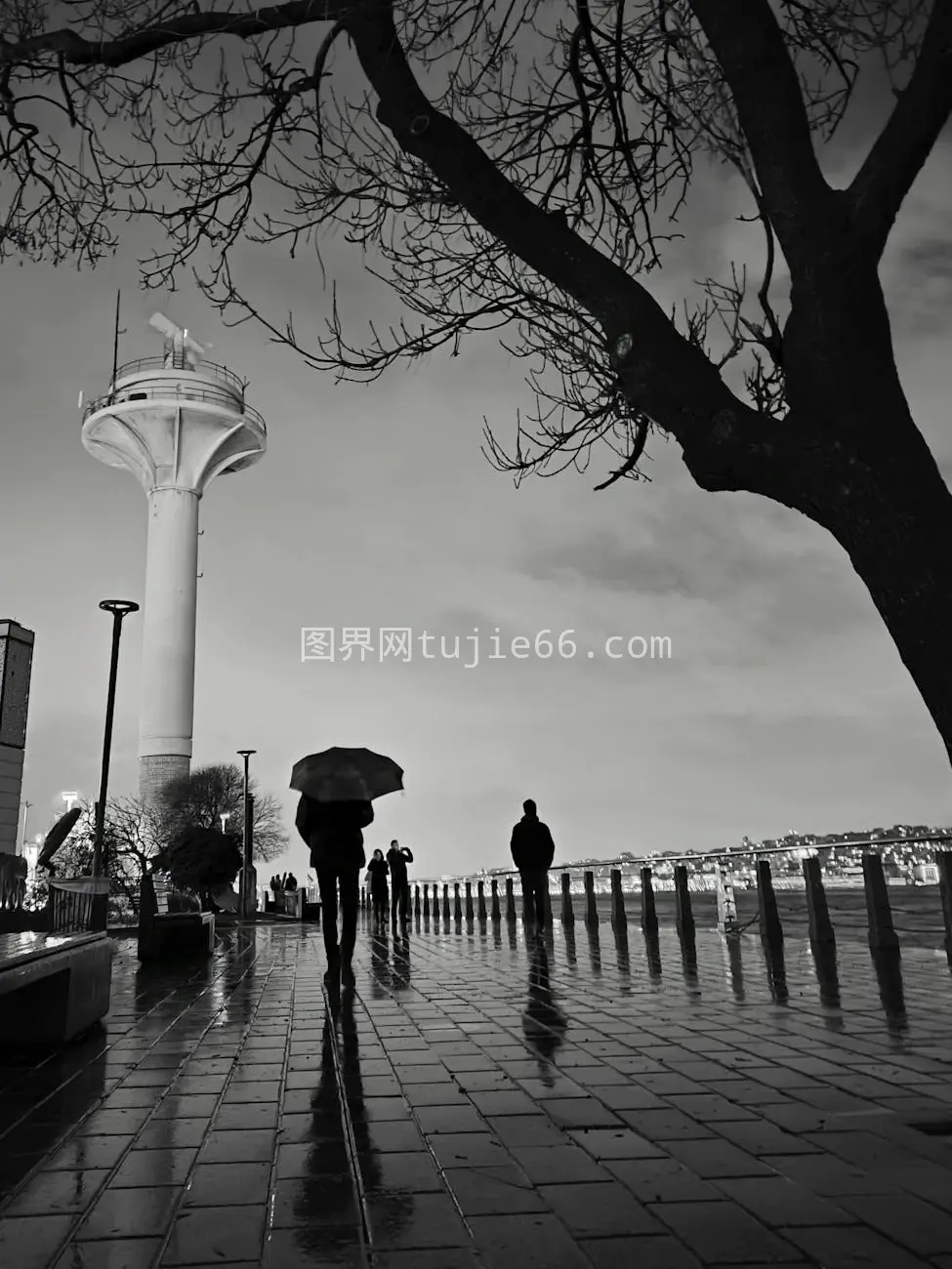 伊斯坦布尔雨中伞景图片