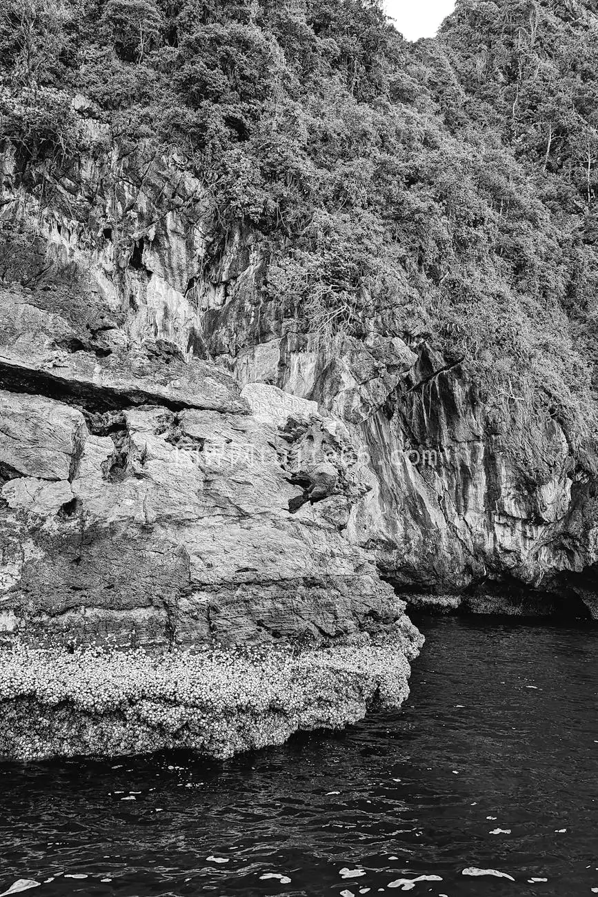 黑白海岸悬崖植被惊叹景致图片