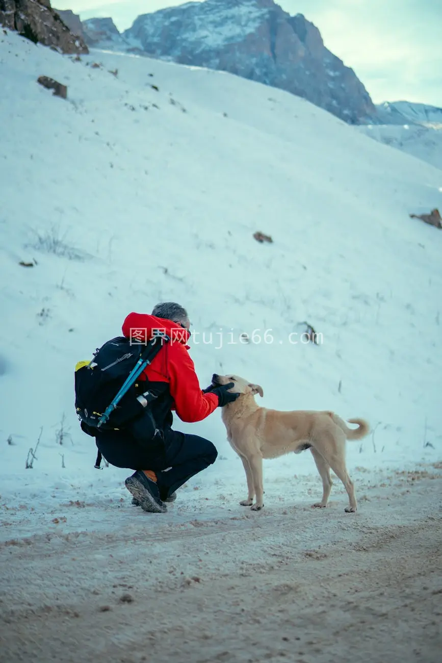 雪山中红夹克旅行者轻抚小狗图片