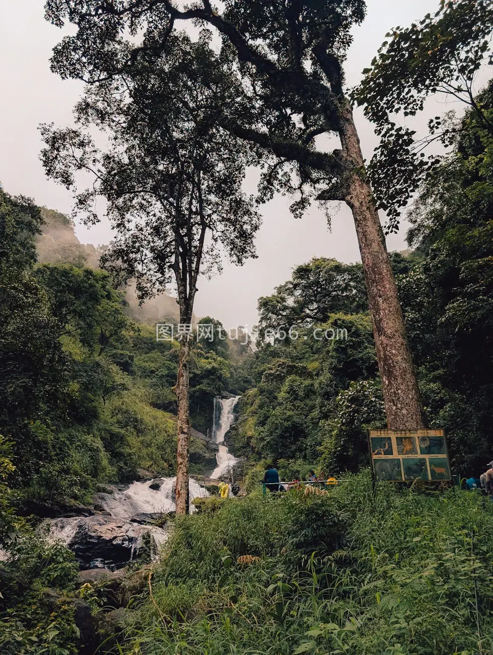 瀑布森林探险之旅图片