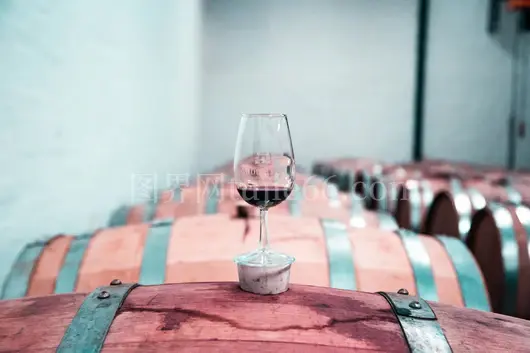 斯泰伦博斯酒庄橡木桶红酒雅韵
