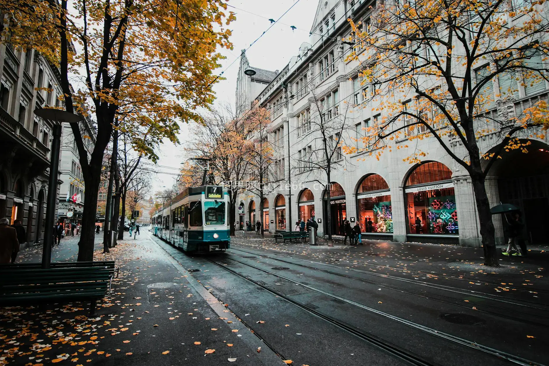 火车穿梭风景线图片