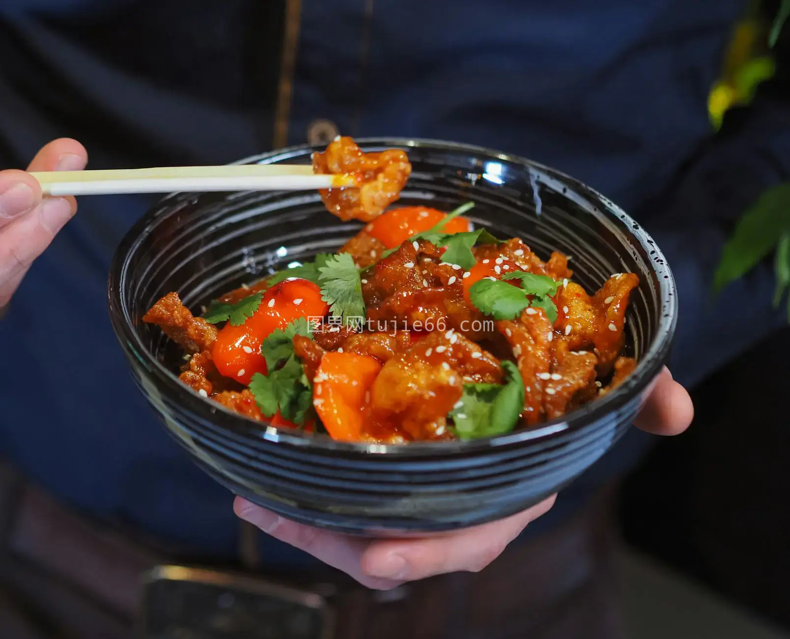 美食摄影特写亚洲菜肴芝麻鲜艳蔬菜诱人图片