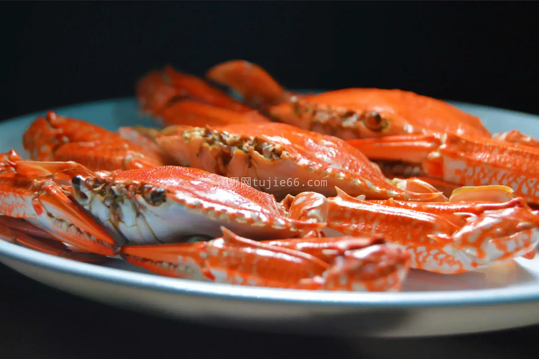 橙蟹烹饪海鲜美食图片